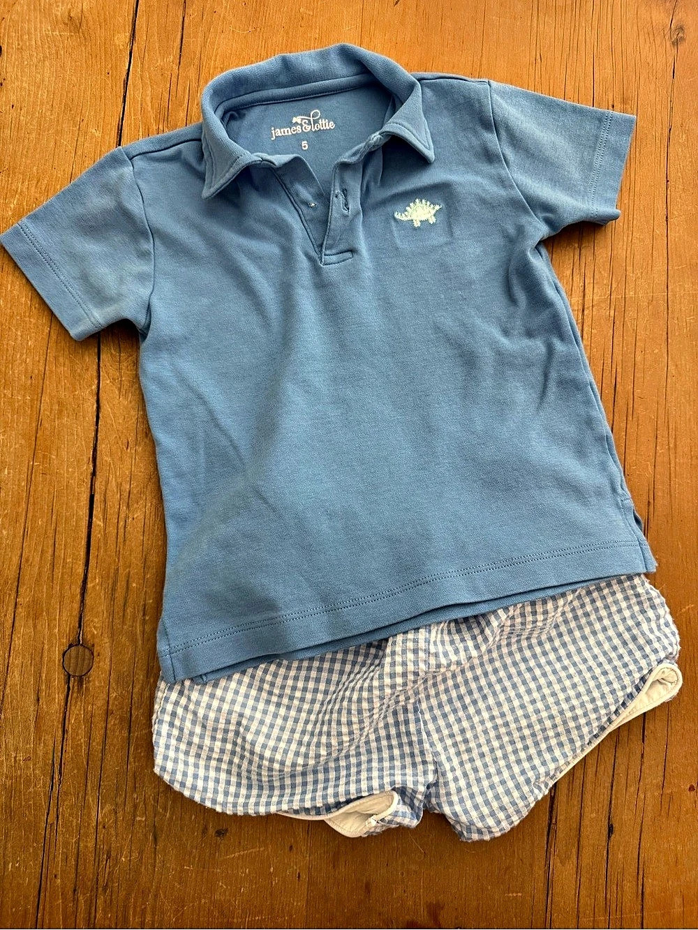 James & Lottie Cecil & Lou Boys Polo Gingham Shorts Outfit 4T 5 Blue White Set